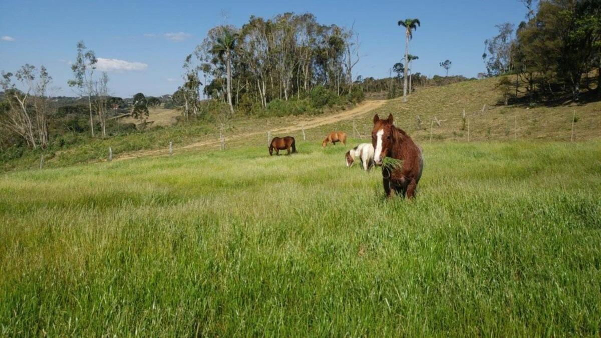 Vila Rancho Sol Poente - Rancho Queimado - Sc Exteriér fotografie