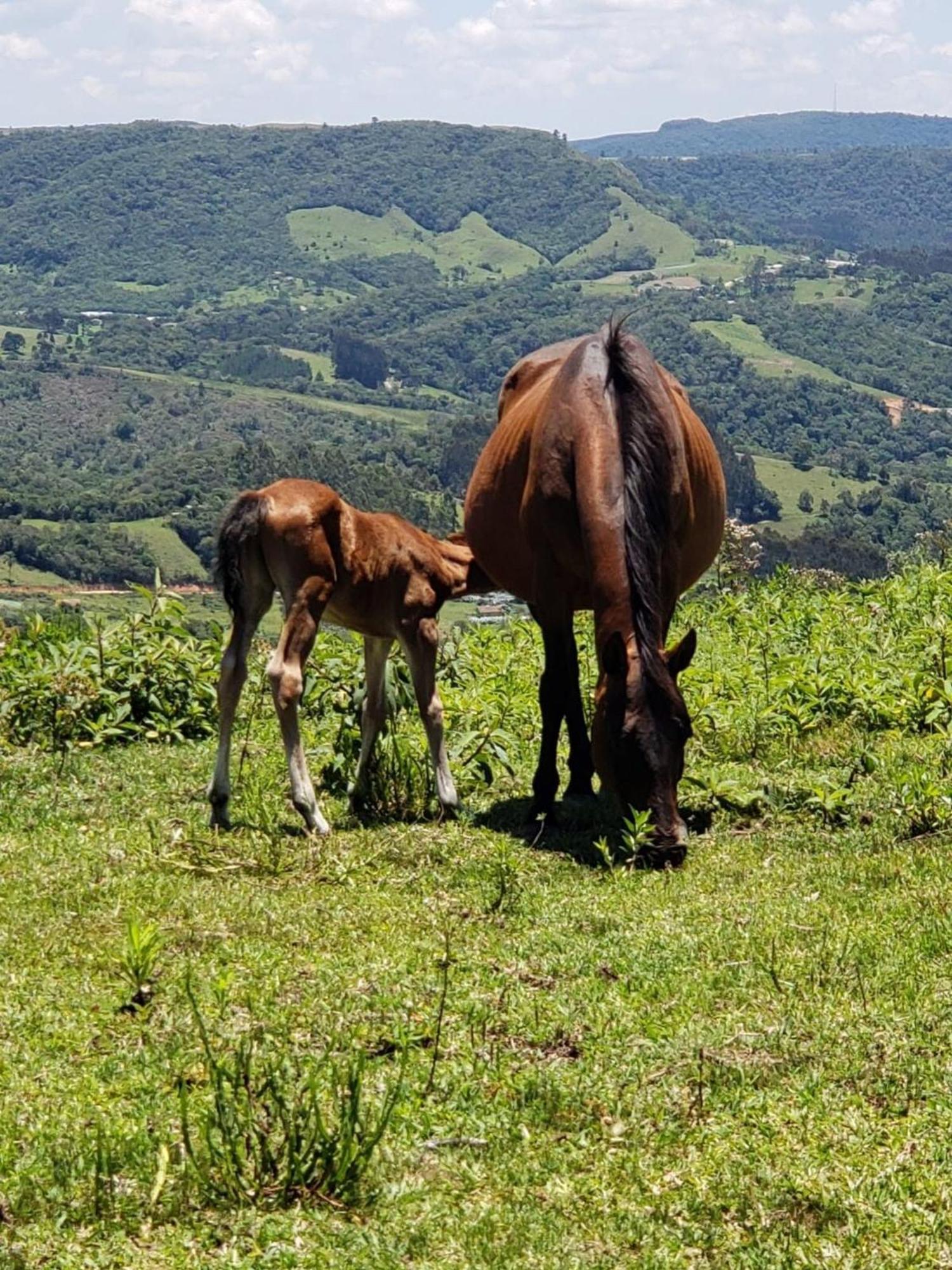 Vila Rancho Sol Poente - Rancho Queimado - Sc Exteriér fotografie